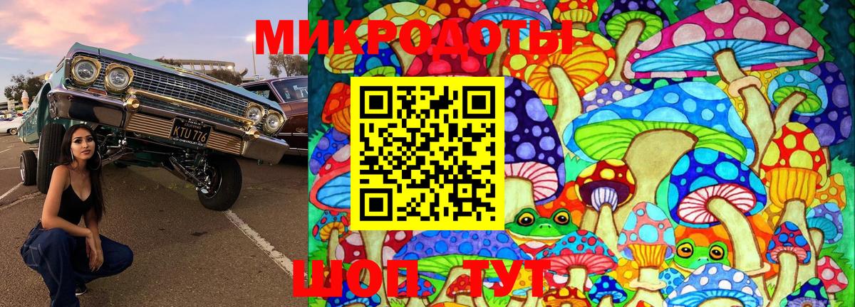 Ишим  Псилоцибиновые грибы мицелий  Галлюциногенные грибы прущие грибы  Вход с VPN 